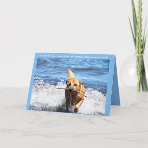 Funny German Shepherd Mix Birthday Card