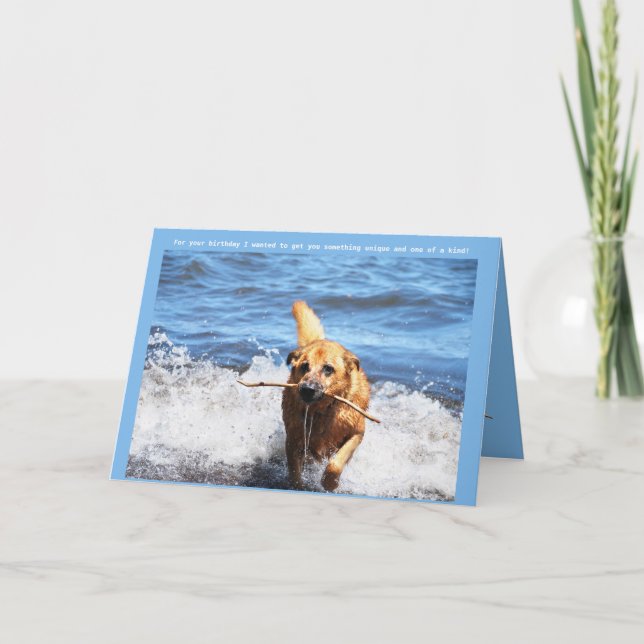 Funny German Shepherd Mix Birthday Card (Front)