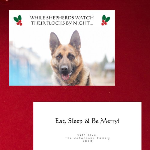 Funny German Shepherd Photo Christmas Greetings Holiday Card