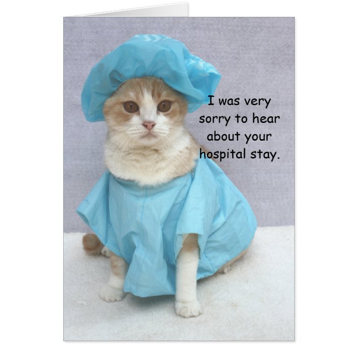 Funny Get Well Card Zazzle