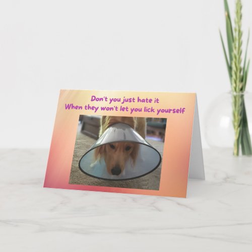 Funny Get Well Card Dog in Cone