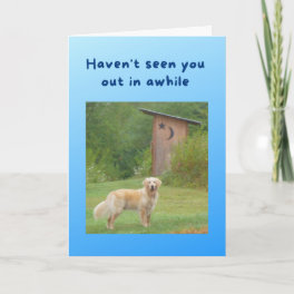 Funny Get Well Card Dog in front of Outhouse