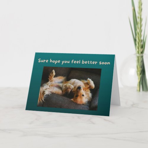 Funny Get Well Card Dog Needs His Belly Rubs