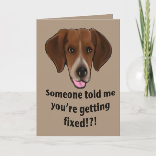 Funny Get well card for dogs