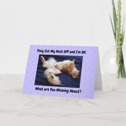 Funny Get Well Card Golden Retriever Showing Off