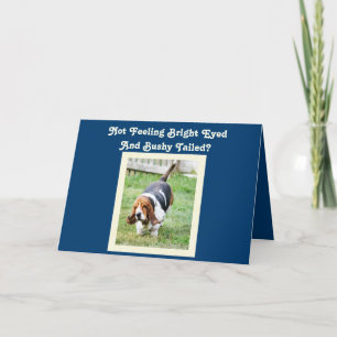 Funny "Get Well" Card w/Cute Basset Hound & Nap