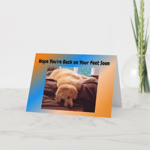 Funny Get Well Card with Golden Retriever