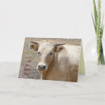Funny Get Well - Cute White Cow - Ranch Or Farm Card at Zazzle