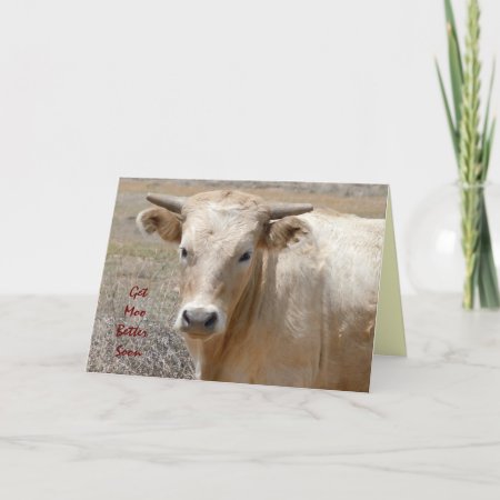 Funny Get Well - Cute White Cow - Ranch Or Farm Card