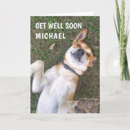 Funny Get Well Dog Photo Custom Card