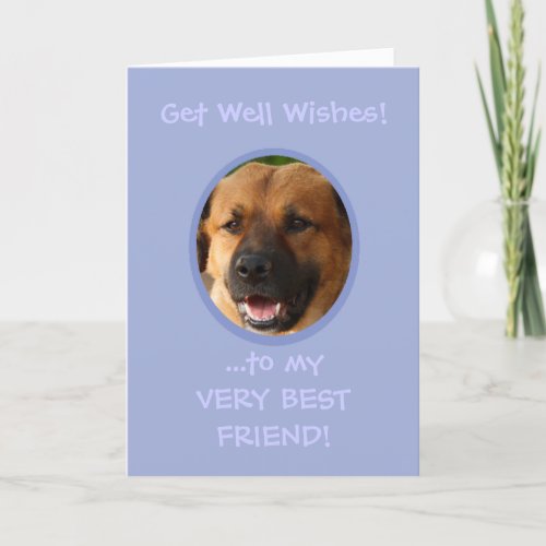 Funny Get Well From Dog Custom Photo Card