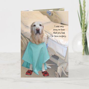 Funny Get Well Lab In Hospital Gown Card by myrtieshuman at Zazzle