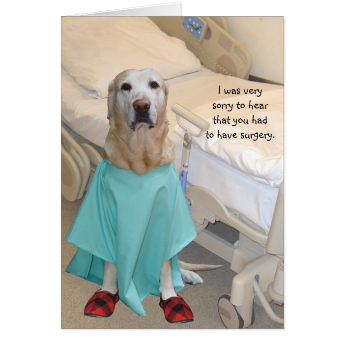 Funny Get Well Lab in Hospital Gown Card Zazzle