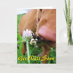 Funny "Get Well Soon" card