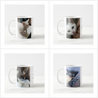 Funny Gifts, Cat-Themed Gifts