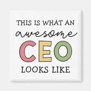 Funny Gifts for CEO Awesome CEO Boss Gifts Magnet