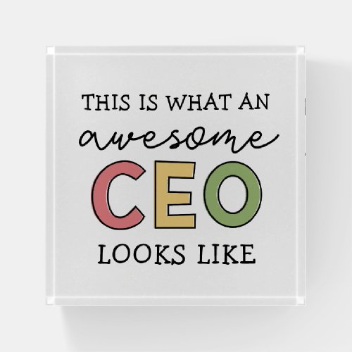 Funny Gifts for CEO  Awesome CEO Boss Gifts Paperweight