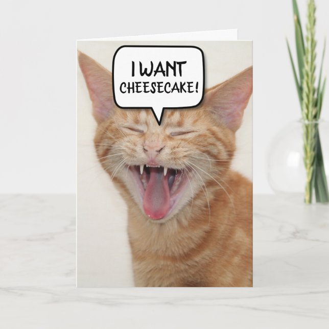 FUNNY GINGER CAT BIRTHDAY CARD I WANT-CHEESECAKE! (Front)