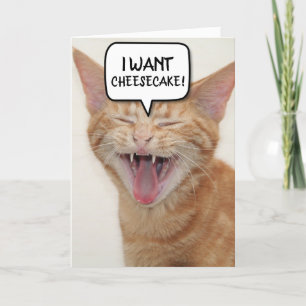 FUNNY GINGER CAT BIRTHDAY CARD I WANT-CHEESECAKE!
