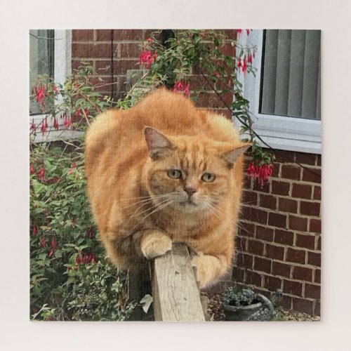 Funny Ginger Cat on Fence Jigsaw Puzzle