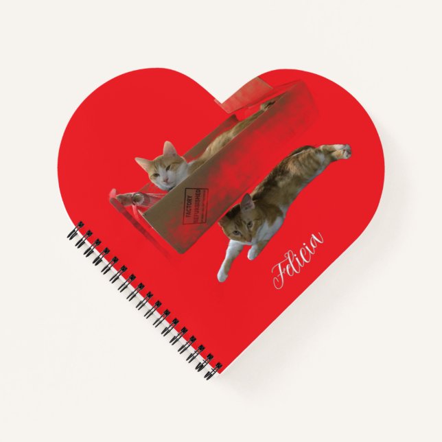 Funny Ginger Cats , Customizable Image And Photo Notebook (Front)
