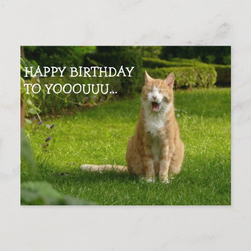 Funny Ginger Tabby Cat _ Happy Birthday to Yooouuu Postcard
