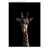 Funny Giraffe (Front)