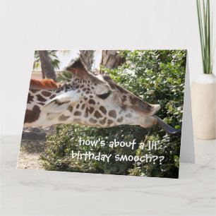 Funny Giraffe Birthday Card, birthday smooch!! Card