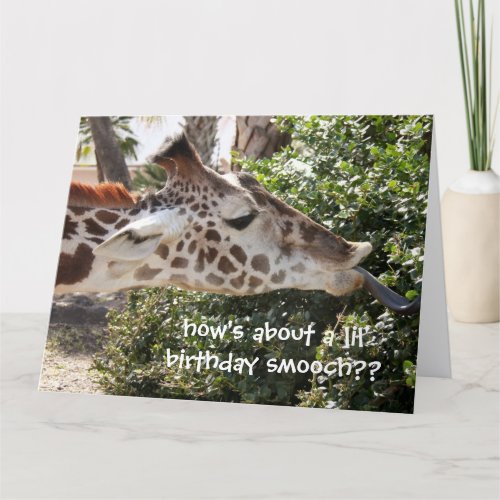 Funny Giraffe Birthday Card birthday smooch Card
