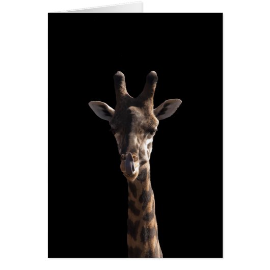 Funny Giraffe Cards (Front)