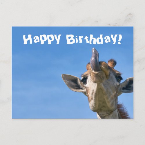 Funny Giraffe Happy Birthday Postcard