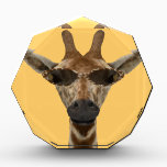 Funny Giraffe Incognito With Trendy Sunglasses Award<br><div class="desc">not always a pleasure to be recognized by anyone,  so not only it is protecting the eyes from bright sunshine,  it can walk around now having all the privacy it wants. smart!</div>