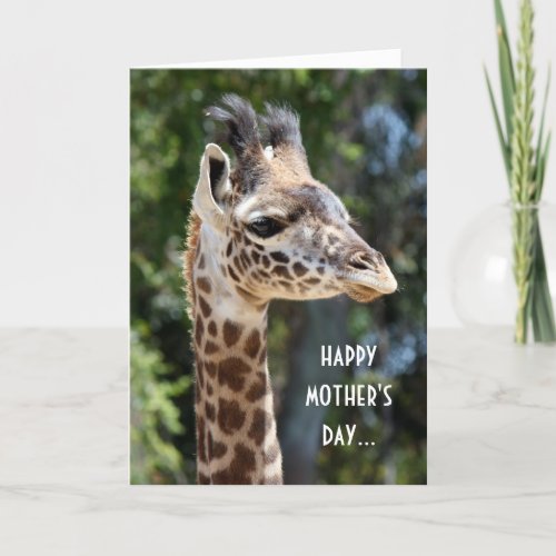 Funny Giraffe Mothers Day from the cute one 2 Card