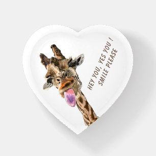 Funny Giraffe Paperweight Gift