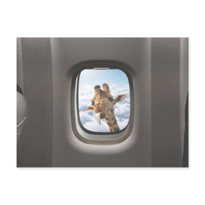 Funny Giraffe Postcard