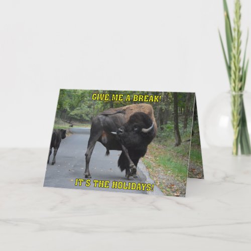 Funny Give Me A Break Bison Bull Christmas Holiday Card