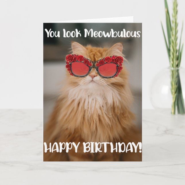 Funny Glamorous Cat Birthday Greeting Card  (Front)