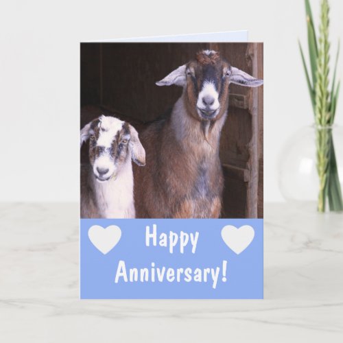Funny Goat Anniversary Card