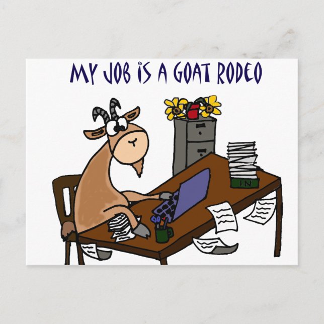 Funny Goat at Desk Goat Rodeo Job Humor Postcard (Front)