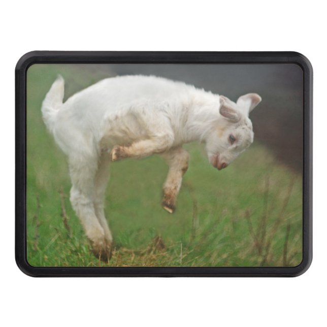 Funny Goat Baby White Goat Jumping in Pasture Hitch Cover (Front)