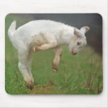 Funny Goat Baby White Goat Jumping In Pasture Mouse Pad at Zazzle