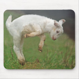 Funny Goat Baby White Goat Jumping in Pasture Mouse Pad