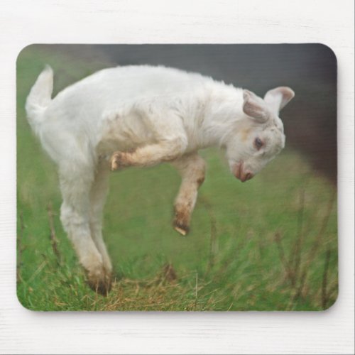 Funny Goat Baby White Goat Jumping in Pasture Mouse Pad