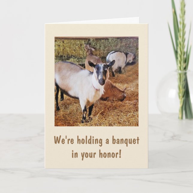 Funny Goat Banquet Birthday Card (Front)