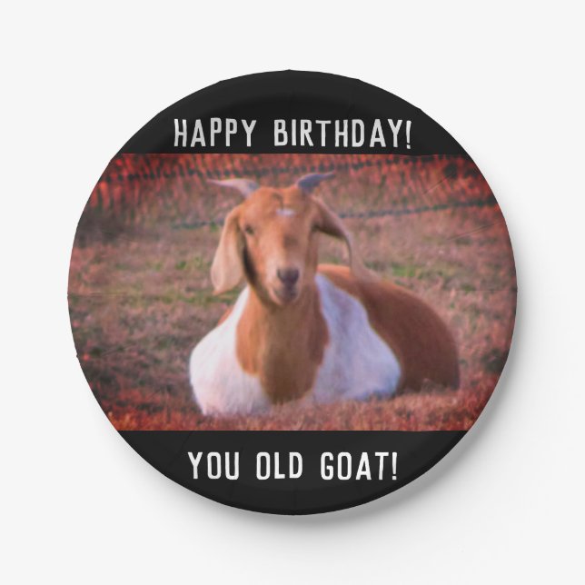 Funny Goat Birthday Paper Plates (Front)