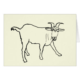 Funny Goat Drawing Quirky Cartoon Farm Animal Art Cards
