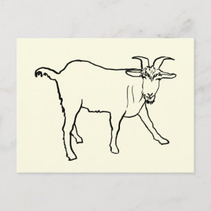 Funny Goat Drawing Quirky Cartoon Farm Animal Art Postcard