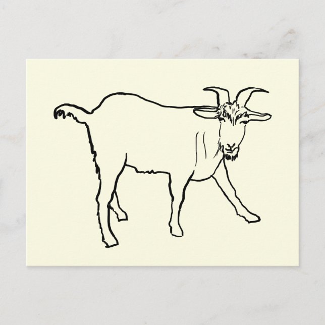 Funny Goat Drawing Quirky Cartoon Farm Animal Art Postcard (Front)