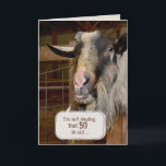 Funny Goat for 50th Birthday Card<br><div class="desc">Hairy old goat in barn pen with tongue sticking out for humorous 50th birthday</div>