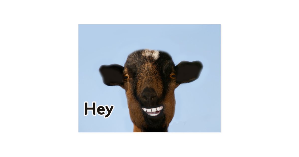 Funny Goat Meme Smiling Really Big Postcard | Zazzle.com